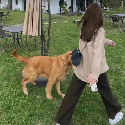波特斯维尔