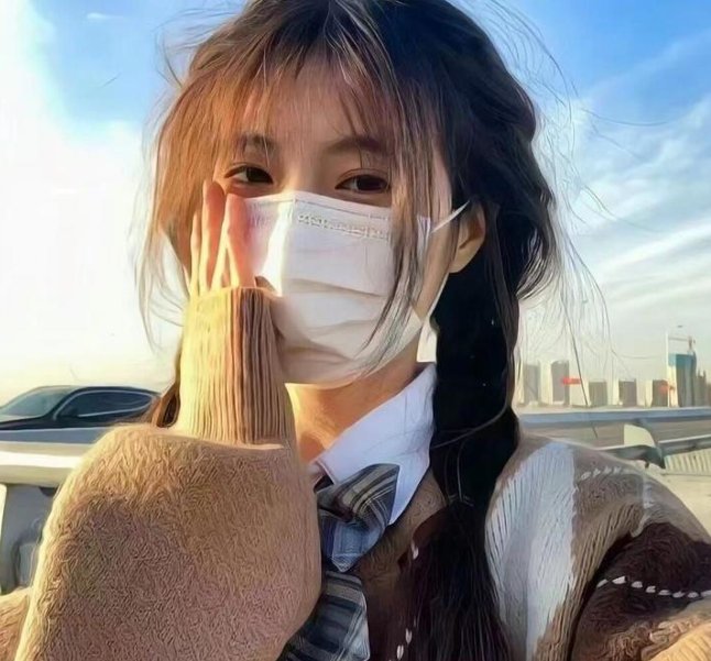 泼妇碧安卡